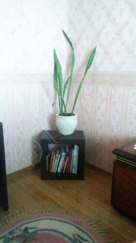Отзыв Микс 1*1
