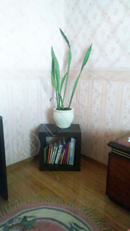 Отзыв Микс 1*1